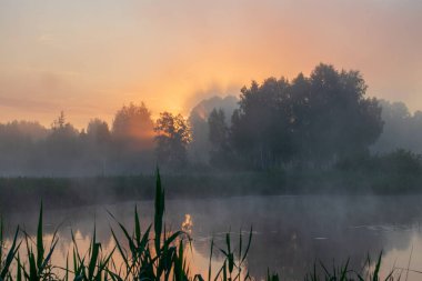 Nehirde sisli bir sabah