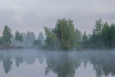 Sonbahar ormanında sisli bir sabah.