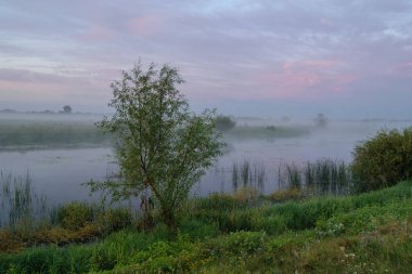 Nehirli güzel bir sabah manzarası