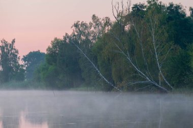 Nehirde sisli bir sabah