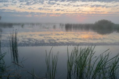 Yazın nehirde gün doğumu