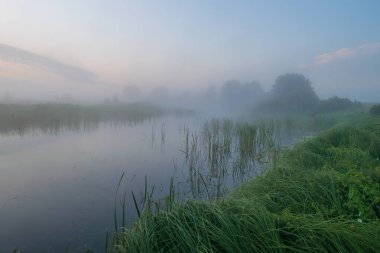 Yazın nehirde sabah sisi.