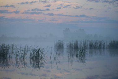 Sabah sisinde gölde güzel bir gün doğumu..