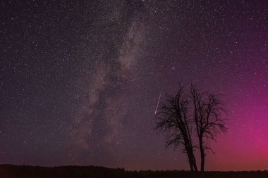 Gece gökyüzü, samanyolu ve ağaçlı güzel bir gece manzarasıdır..