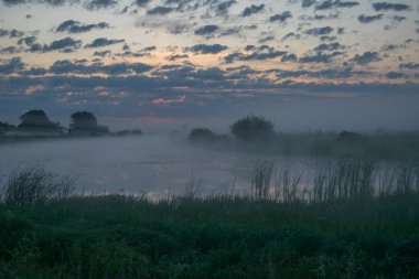 Nehir ve ağaçlarla dolu güzel bir sabah manzarası. Doğa