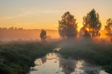ormandaki sabah gündoğumu