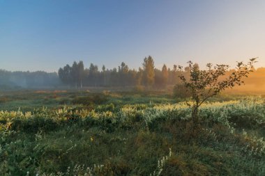 sabah sis Nehri üzerinde