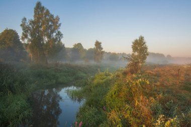 Güzel sabah gündoğumu.