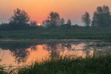 Sabahları bataklığın üzerinde gün batımı