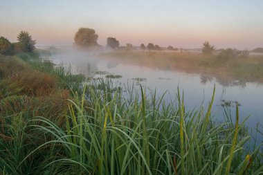 Sabah bir gölün güzel manzarası