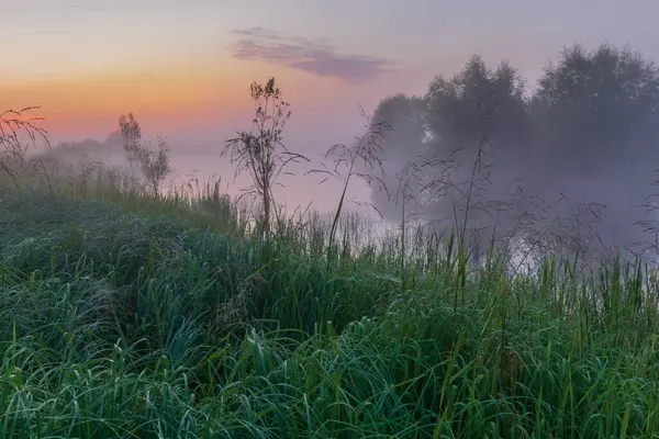 Sabah güneş doğuyor.