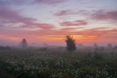 Sabah sisli ve gündoğumuyla tarlada