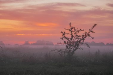 Güneşin doğuşu sisli