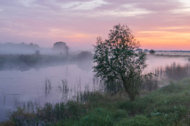 Nehrin üzerinde sabah sisi