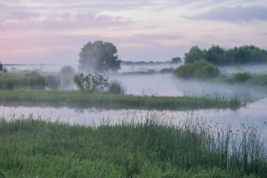 Nehrin üzerinde sabah sisinin altında güzel bir gün doğumu.