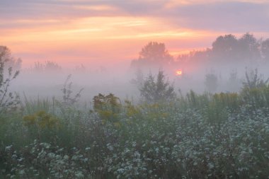 Sunrise alanında.