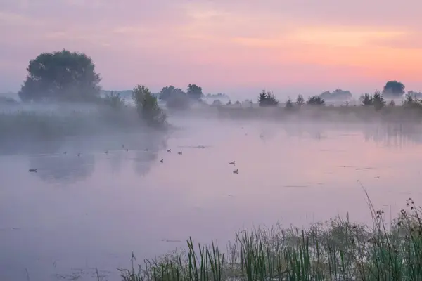 Gölde güzel bir gün batımı