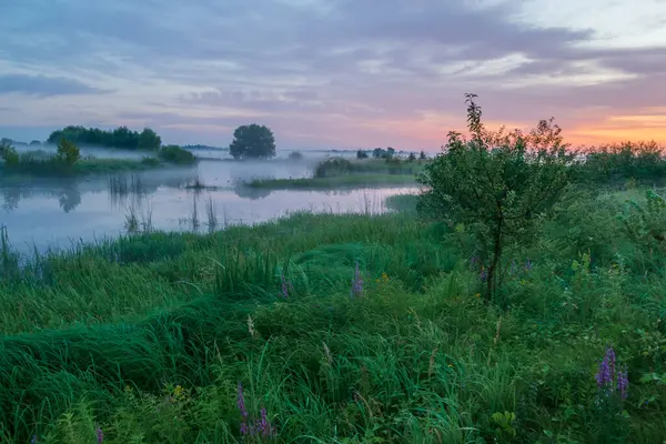 Küçük bir nehir, yaz yatay