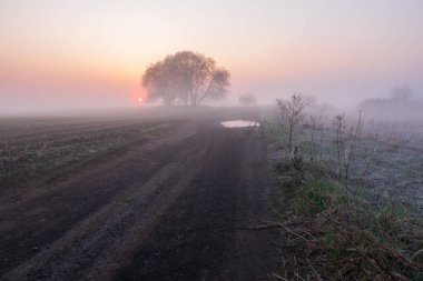 Sunrise bir sisli sabahı