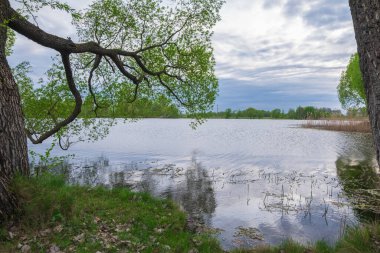 Ağaçlarla kaplı bahar gölü ve bulutların yansımaları