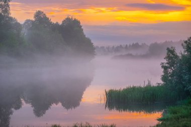 Yazın ağaçlar ve sisle gölde gün doğumu. Gölde sabah sisi