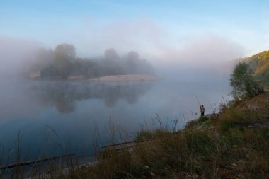Ormanda sisli bir sabah.