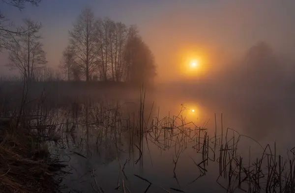 Gölde sisli bir gün doğumu. Güneşin sudaki yansıması..