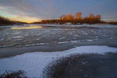 Ormanda karda bir at.