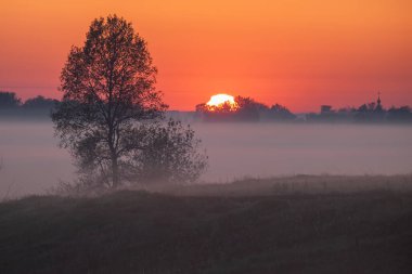 Tarlada güzel bir gün batımı