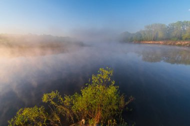 Ormandaki nehrin güzel manzarası