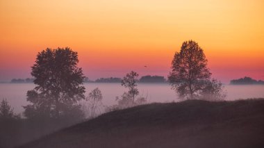 Güzel gündoğumu siste