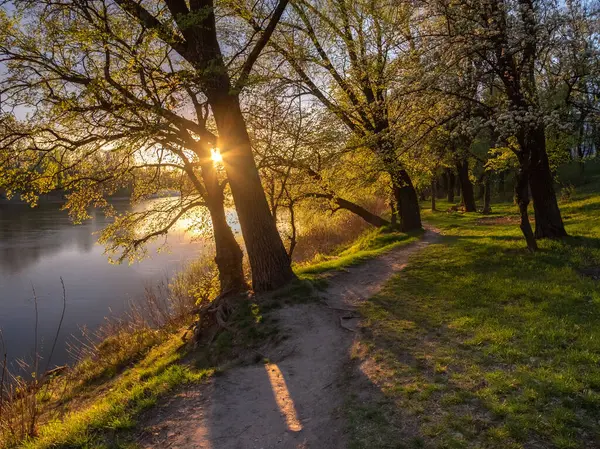 güzel sunrise Park