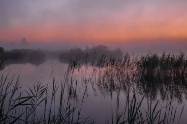 Güzel manzara. Doğa, seyahat