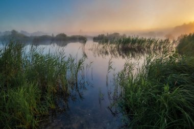 Yazın başında gölde sabah sisi.