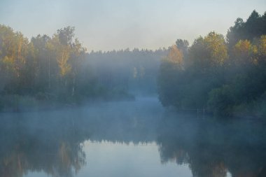 Ormanda sonbahar sabahı