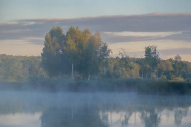 Ağaçlı, ormanlı ve sisli güzel sonbahar manzarası