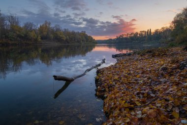 Nehirli sonbahar manzarası, renkli ağaçlar, su ve yapraklar.