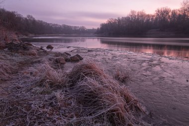 Güzel kış manzara donmuş ağaçlar ile