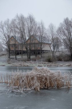 Kışın donmuş bir göl