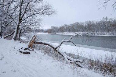 Nehirli kış manzarası