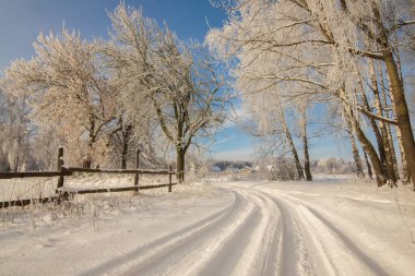 Kır yolunda bir kış günü Karla kaplı bir tarlada.