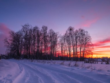 Kış ormanında gün batımı