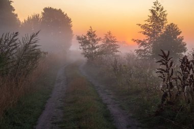 kırsal güzel gündoğumu
