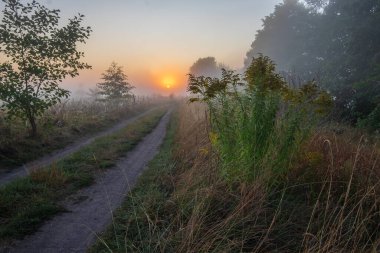 Kırsalda sisli bir sabah
