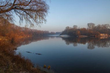 beautiful autumn landscape with a river and trees