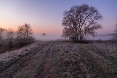 Güneşin doğuşu sisli