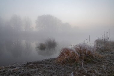 Ormanda nehri olan güzel bir manzara.