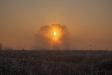 Ormanda güzel bir gün batımı