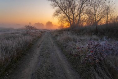 Arka planda nehir ve göl olan güzel bir manzara.