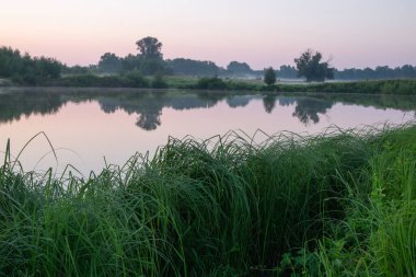 Bir yaz akşamı gölün ortasında yeşil çimenli bir göl. Sakin gölü ve suyu olan bir manzara.